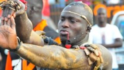 Les sports de combat complètement à l'arrêt