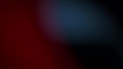 [나의 아메리카] '미국 정치에 돌풍을 일으키다' 론 김