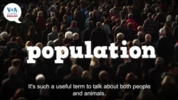 Everyday Grammar Video: 'Population' in Sentences