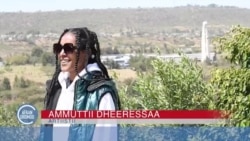 'Weelluu Hip Hop Afaan Oromoo Sadarkaa Addunyaatti Baasuun Fedha' Ammuttii Dheeressaa