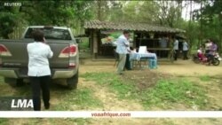 Paludisme: les médicaments censés le guérir deviennent de plus en plus inefficaces