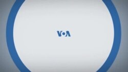 «Нью-Йорк New York». Нью-Йорк – худший город для свиданий? Жизнь лошадей из Центрального парка. Секрет успеха пиццы. 16 февраля 2025