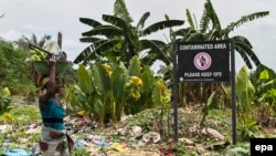 Shell a contaminé cette zone près du delta du Niger, le 9 mars 2016.